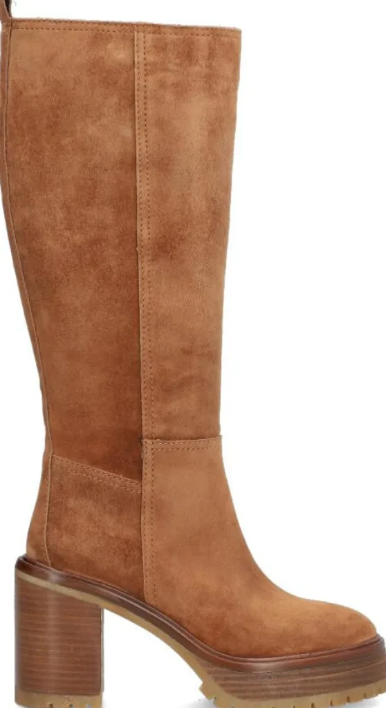 Shop ANIMA Botas