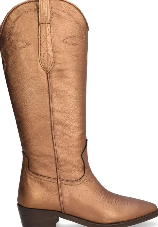 Clearance CECILE Botas Cowboy | Botas
