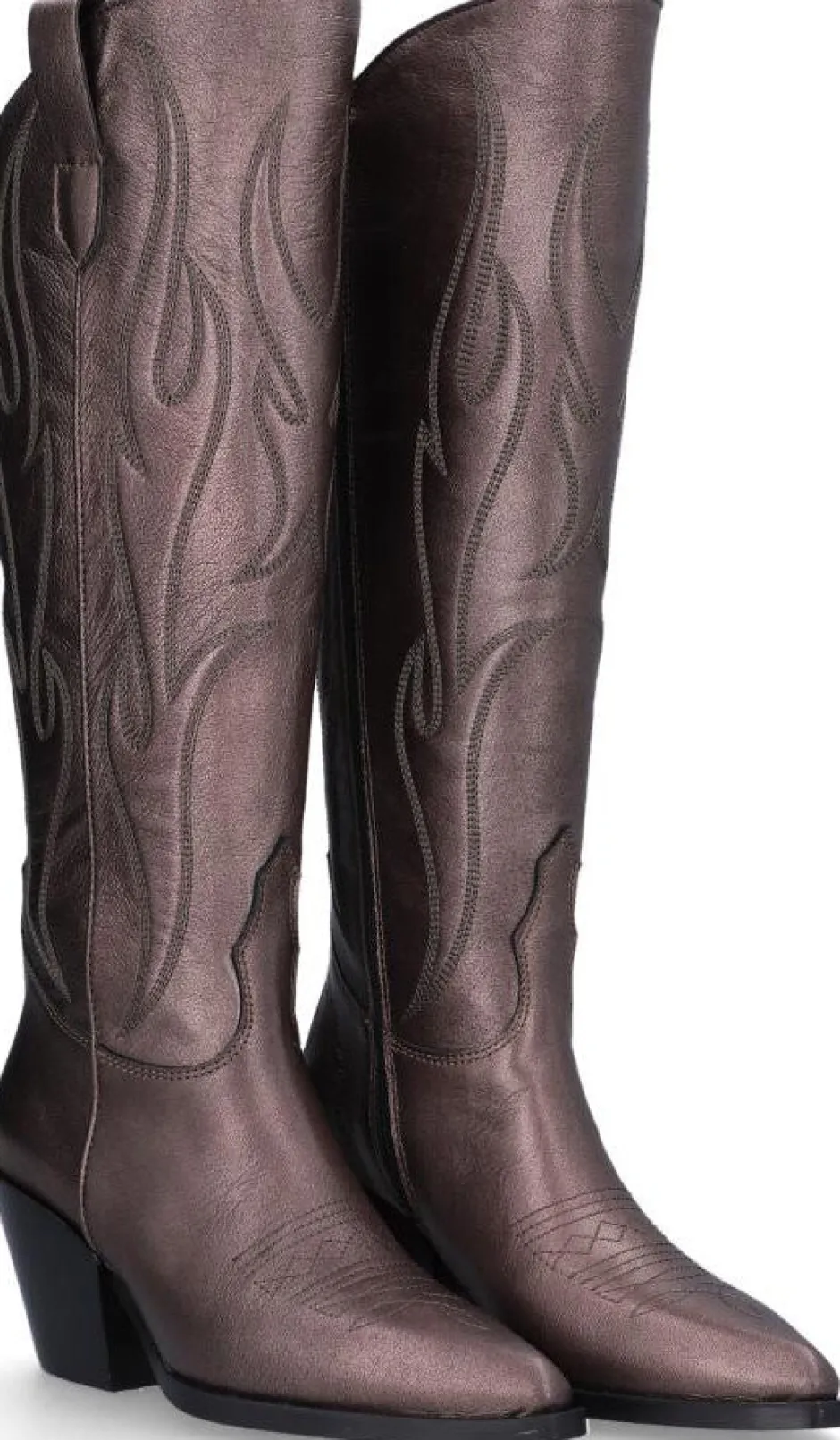 alpe_vermont_1-2.webp Fashion VERMONT Botas Cowboy | Botas